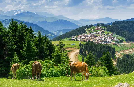 Giresun Gezi Rehberi: Doğal Güzellikleri ve Tarihiyle Keşfedilecek Şehir