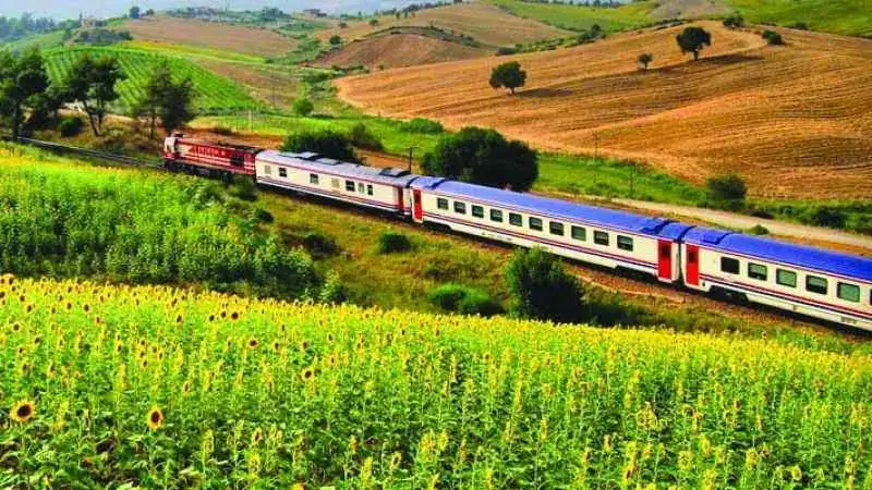 Güney Kurtalan Ekspresi Hakkında Her Şey