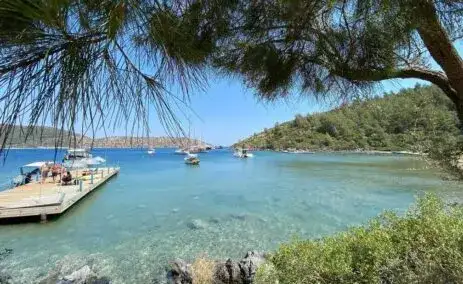 Arpabükü Koyu Hakkında Her Şey