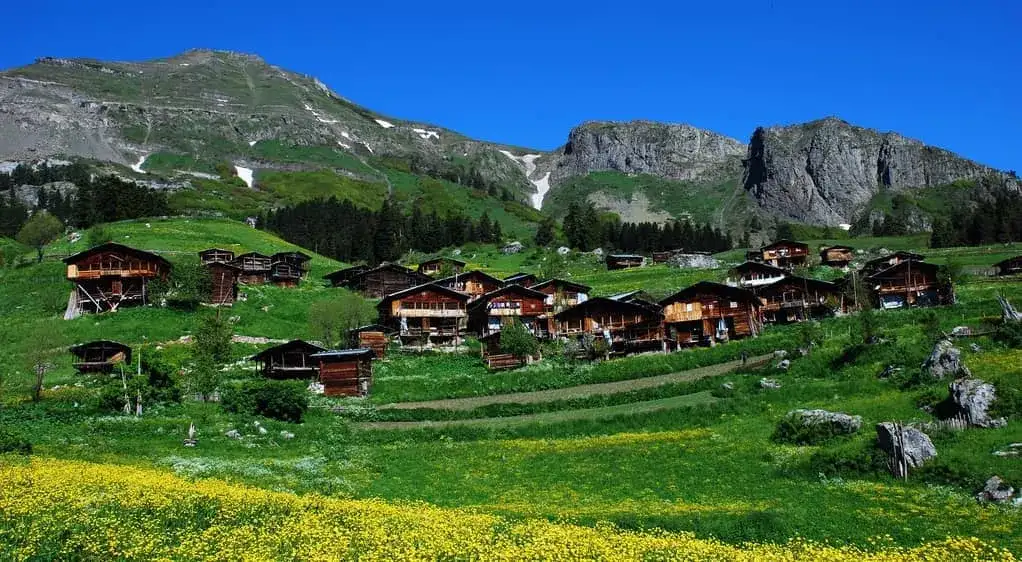 ARTVİN’DE GEZİLECEK YERLER