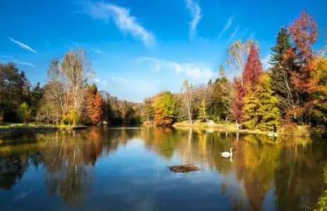 Atatürk Arboretumu Hakkında Her Şey
