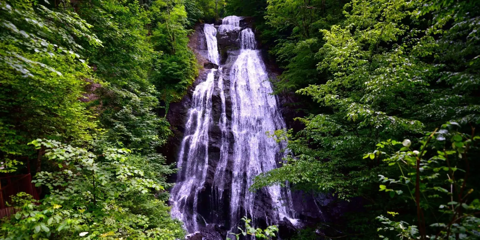 Düzce Şehir Rehberi