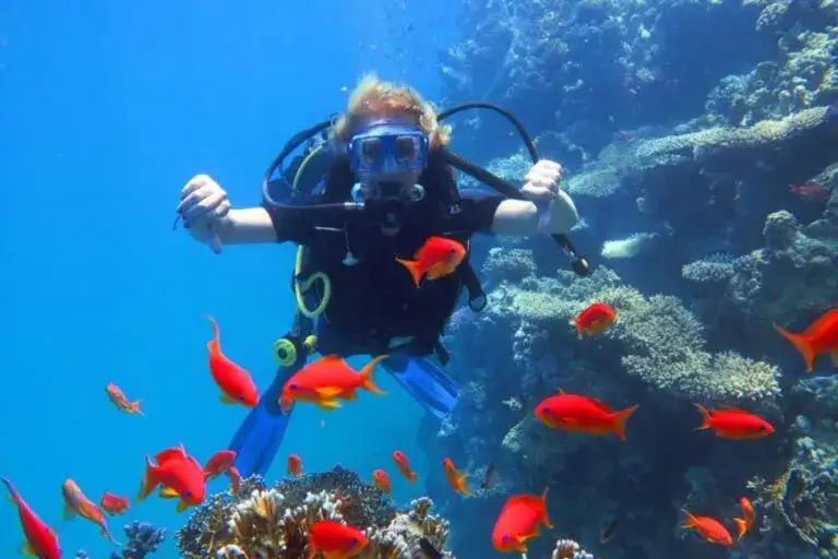 Dünya’nın En İyi Dalış Noktaları