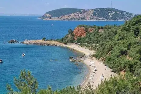 Madam Martha Koyu Hakkında Her Şey