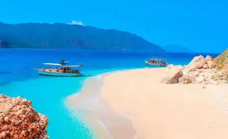 Suluada Hakkında Her Şey