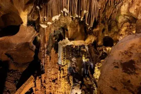 Mersin Taşkuyu Mağarası Hakkında Her Şey