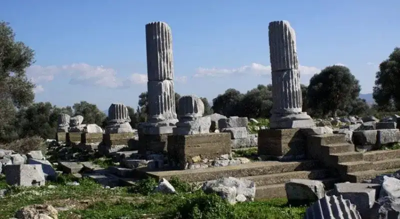 Teos Antik Kenti Hakkında Her Şey