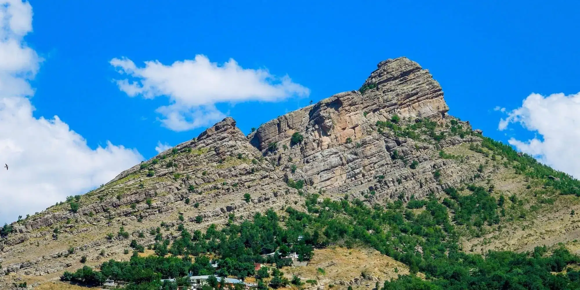 Tunceli Şehir Rehberi