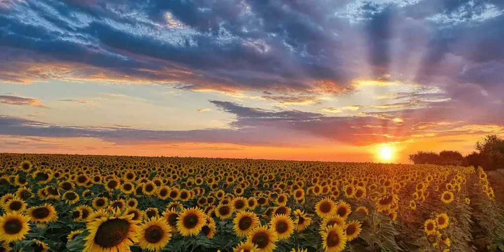 Türkiye’nin En Güzel 10 Manzarası
