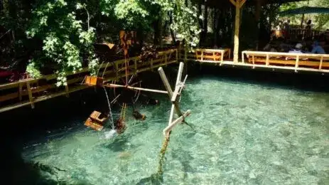 Köyceğiz Yuvarlakçay Hakkında Her Şey