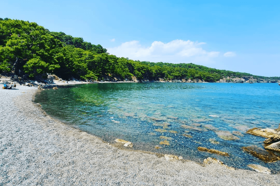 phaselis-plaji antalyanın-en-iyi-plajlari-phaselis-plaji