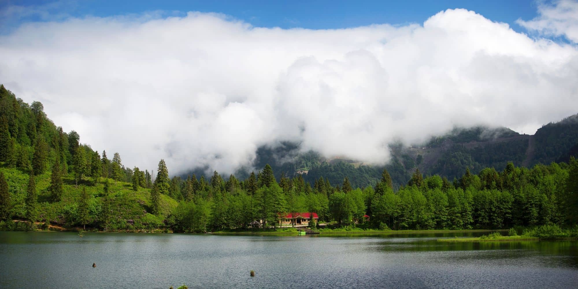 Artvin Şehir Rehberi