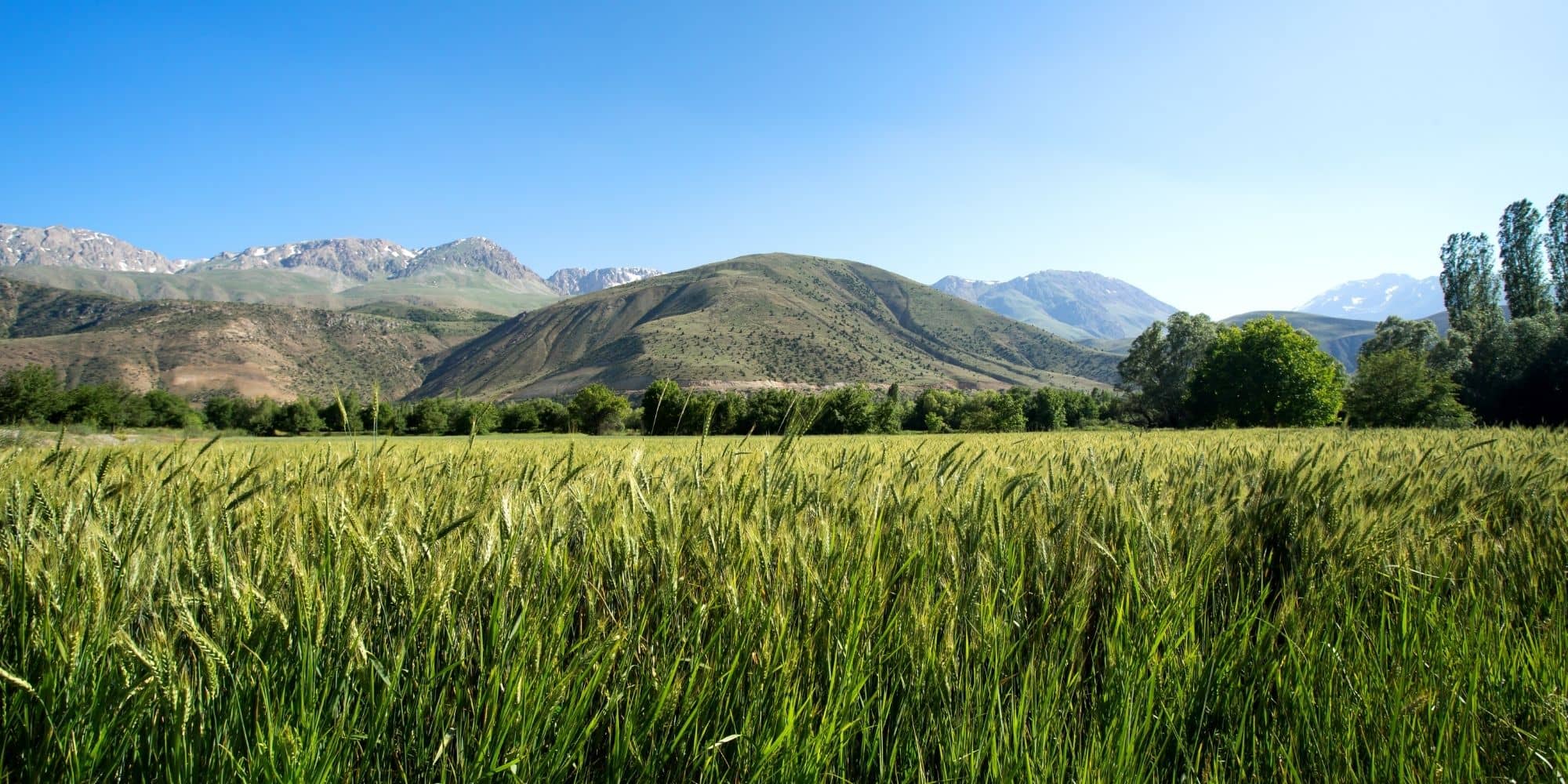 Erzincan Şehir Rehberi