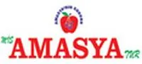 Mis Amasya Tur Logo