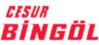 Cesur Bingöl Seyahat Logo
