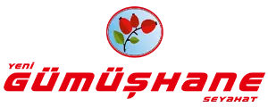 Yeni Gumushane Turizm Logo