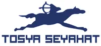 Tosya Seyahat Logo