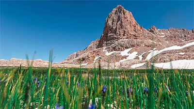 Niğde - Ankara Otobüs Bileti 790.00 TL